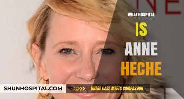 Anne Heche's Hospitalization: Latest Updates and Details Revealed