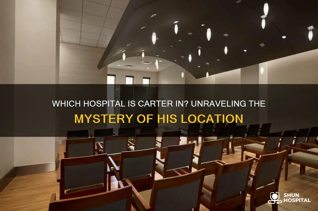 what hospital is carter in