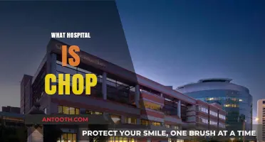 Understanding CHOP: The Renowned Children's Hospital of Philadelphia Explained
