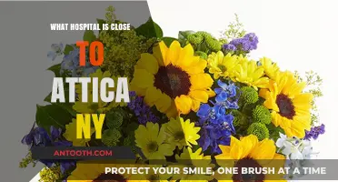 Best Hospitals Near Attica, New York: Quick Access