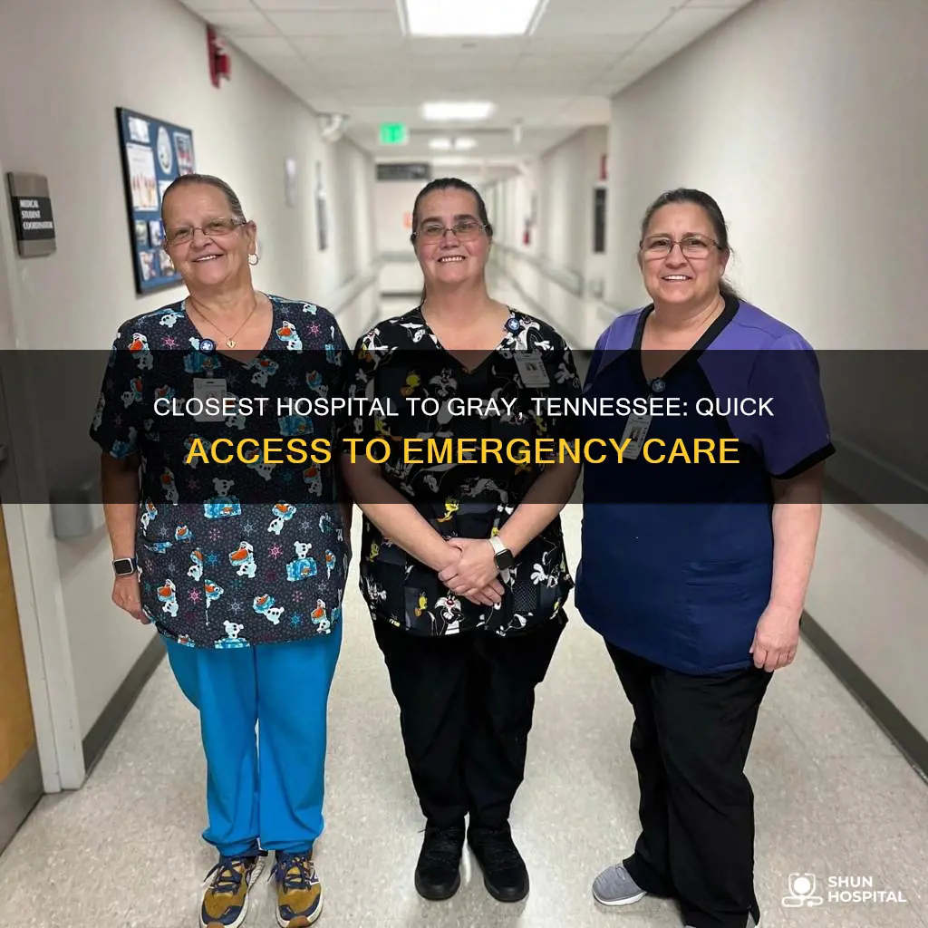 what hospital is closest to gray tennessee