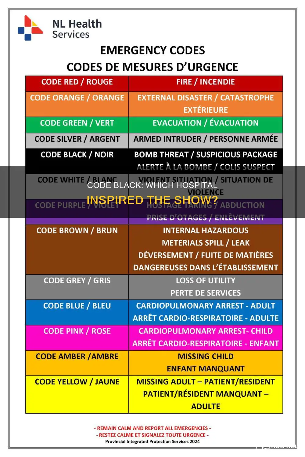 what hospital is code black based on
