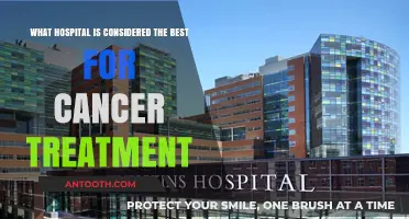 Top-Rated Hospitals for Cancer Treatment: A Comprehensive Guide