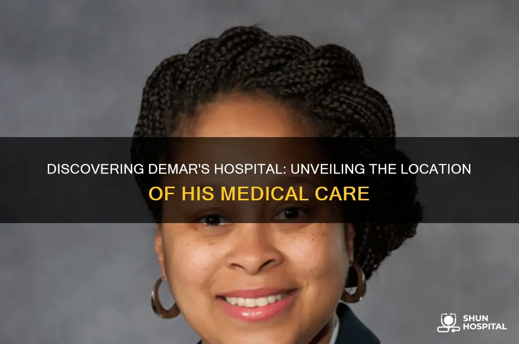 what hospital is demar in