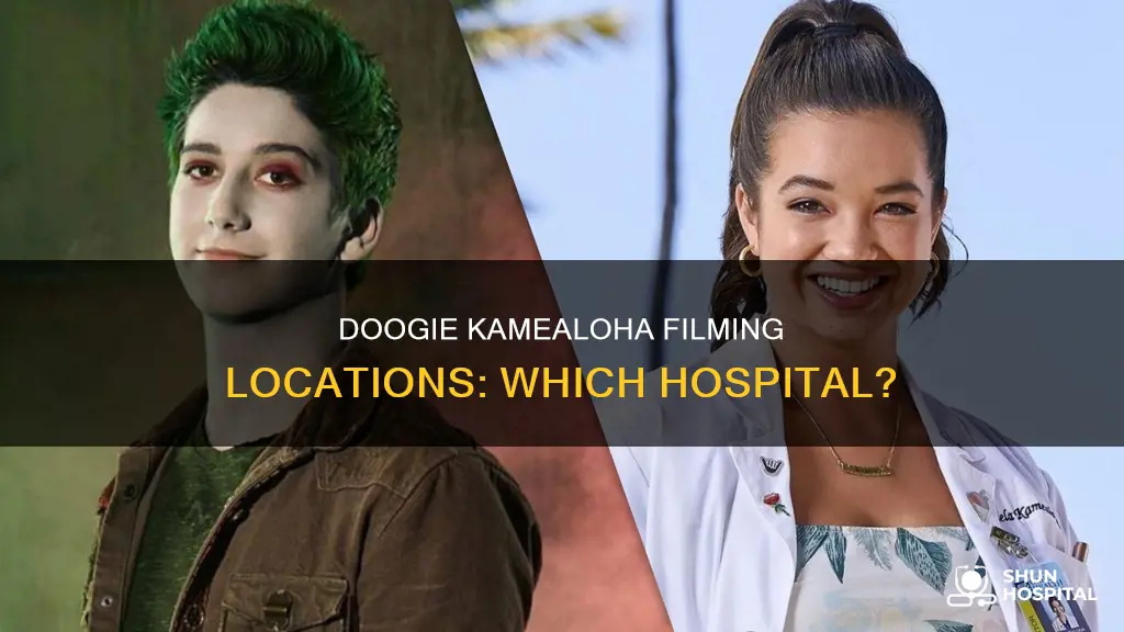 what hospital is doogie kamealoha filmed at