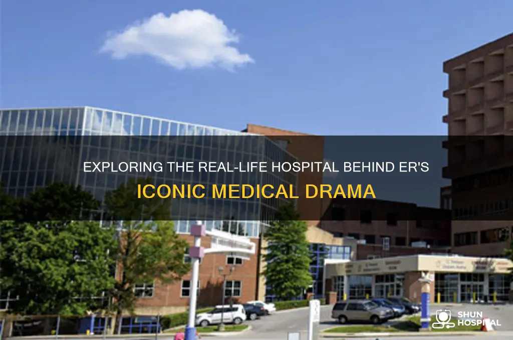 what hospital is er about