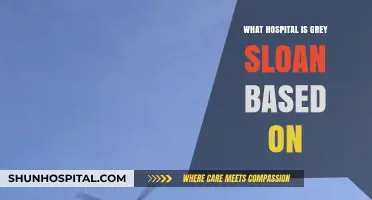 Grey Sloan Memorial: What Real-Life Hospital Inspired the Show?