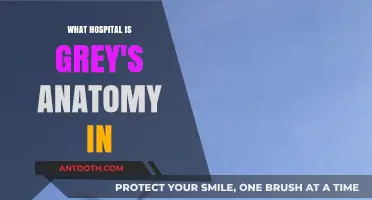 Grey Sloan Memorial Hospital: Anatomy of a TV Icon