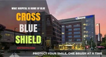 Blue Cross Blue Shield's Hospital Home: Unveiling the Healthcare Partnership