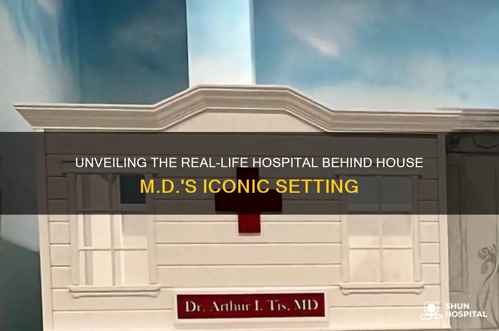 what hospital is house