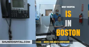 Discovering Boston's Top Hospitals: A Comprehensive Guide to Healthcare