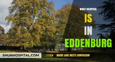 Discovering Edenburg's Hospital: Location, Services, and Community Impact