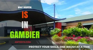 Discovering Gambier's Healthcare: Which Hospital Serves the Community?