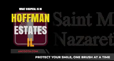 Hoffman Estates, IL: Top-Rated Hospitals and Medical Centers