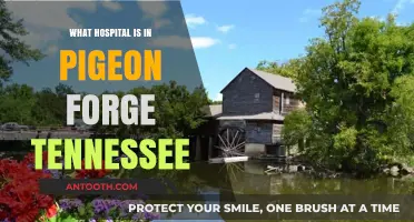 Best Hospital Options in Pigeon Forge, Tennessee