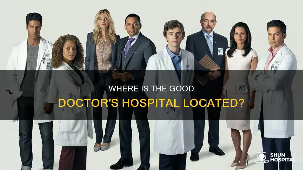 what hospital is in the good doctor