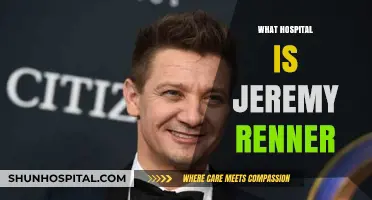 Jeremy Renner's Hospitalization: Updates on His Recovery and Current Condition