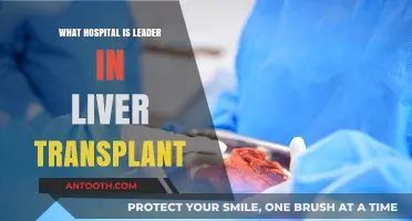 Best Liver Transplant Hospitals: Where to Go?