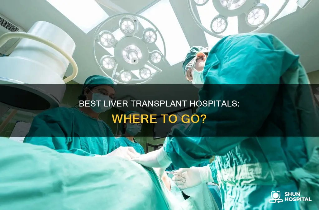 what hospital is leader in liver transplant