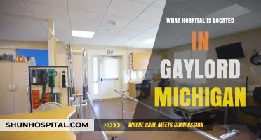 Gaylord, Michigan: Which Hospital is Nearby?