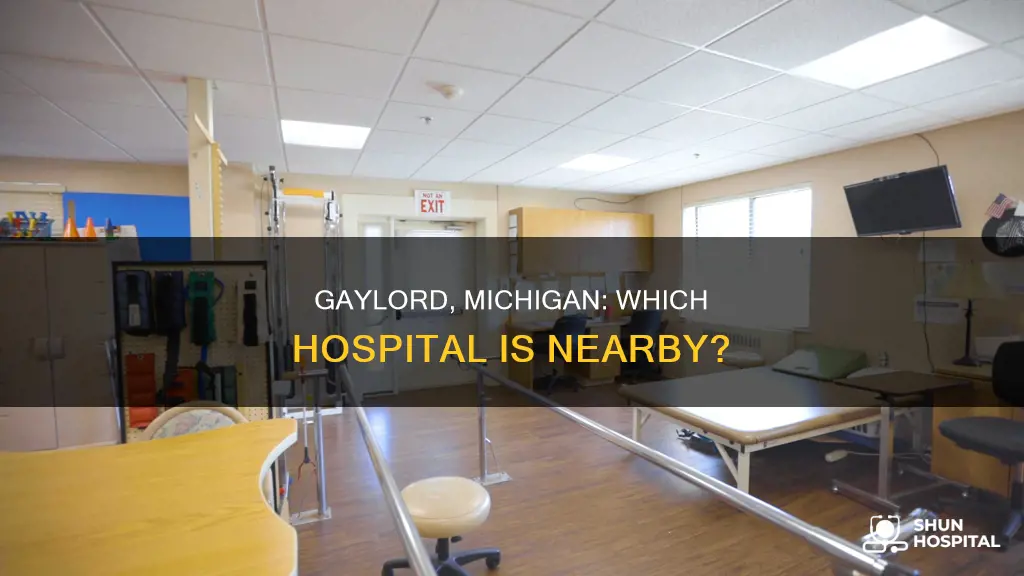 what hospital is located in gaylord michigan