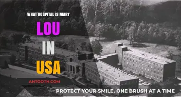 Mary Lou's Hospital: A USA Healthcare Haven