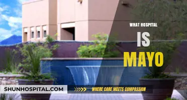 What Hospital is Mayo? Unveiling the Renowned Mayo Clinic Legacy