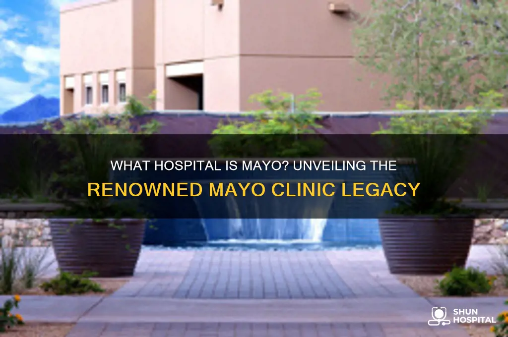 what hospital is mayo