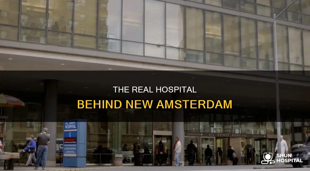 what hospital is new amsterdam based on