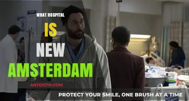 Unveiling the Real-Life Hospital Behind New Amsterdam's Inspiring Medical Drama