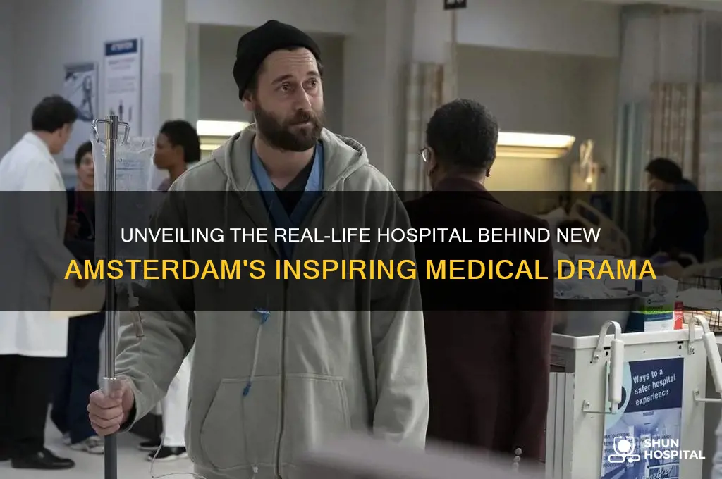 what hospital is new amsterdam