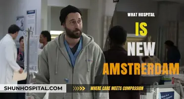 Exploring the Hospital in New Amsterdam: A Historical and Modern Overview