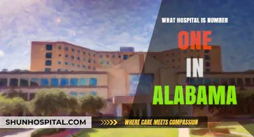 Alabama's Top-Ranked Hospital: Who's Number One?