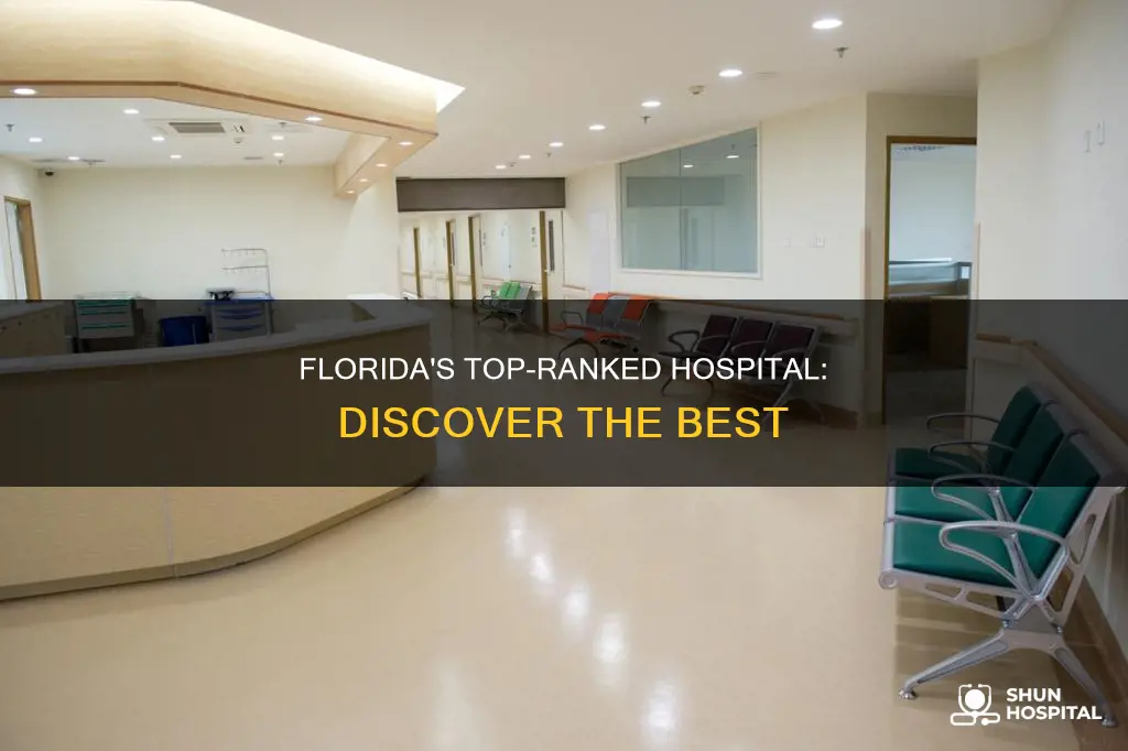 what hospital is number one in florida