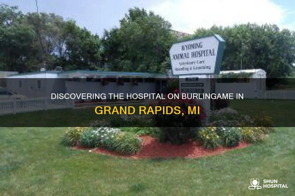 what hospital is on burlingame in grand rapids mi