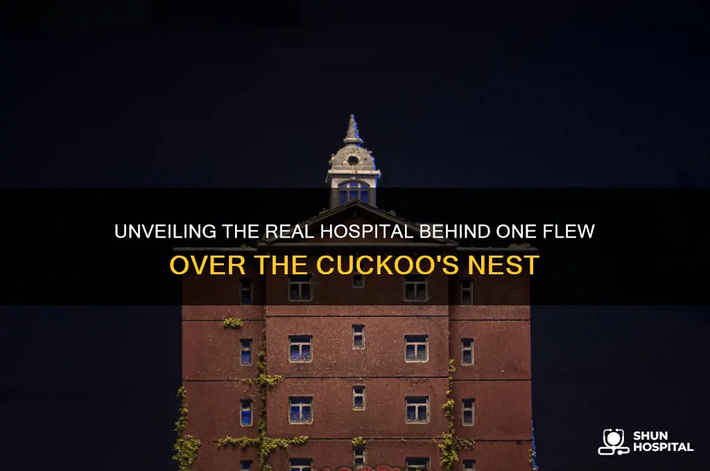 what hospital is one flew over the cuckoo