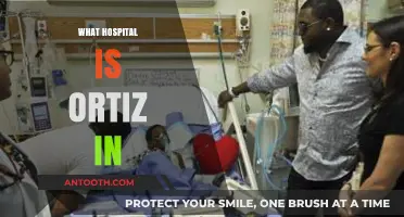 Where is David Ortiz Hospitalized? Latest Updates on His Recovery