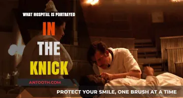 Knickerbocker: The Hospital Portrayed in The Knick