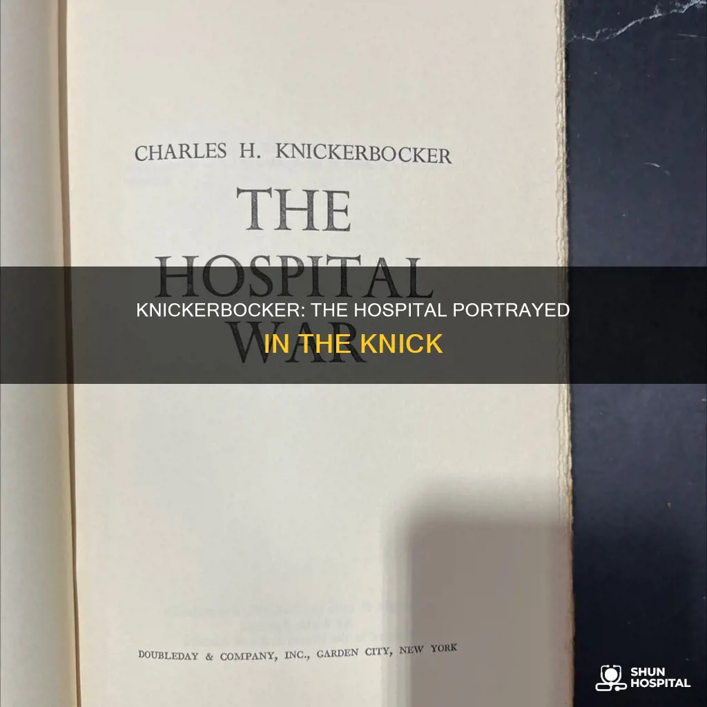 what hospital is portrayed in the knick
