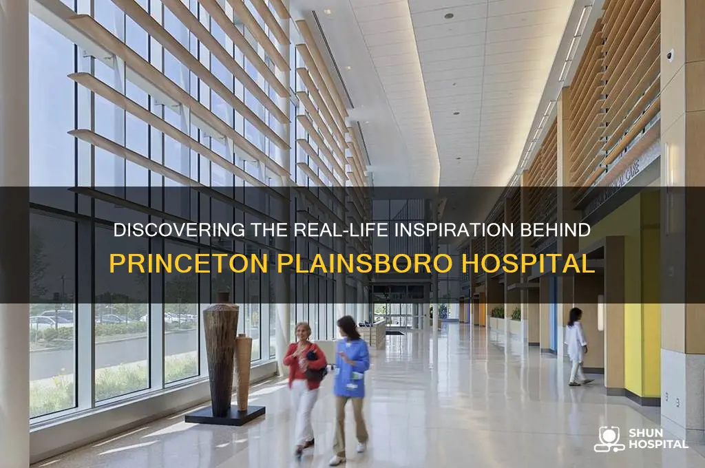 what hospital is princeton plainsboro