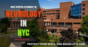NYC's Top-Ranked Hospital for Neurology: Unveiling the Best Care