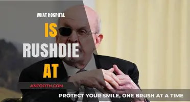 Salman Rushdie's Hospitalization: Where is the Author Receiving Care?
