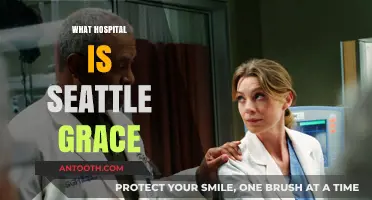 Exploring Seattle Grace: The Fictional Hospital in Grey's Anatomy