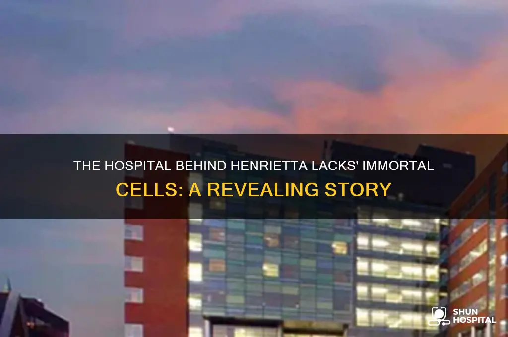 what hospital is talked about in the book henrietta lacks