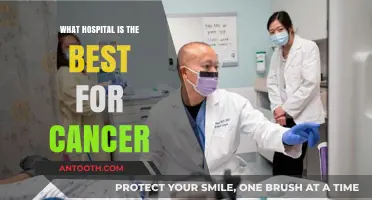 Top Cancer Hospitals: Where to Seek Treatment