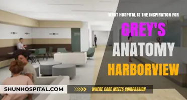 Grey's Anatomy's Real-Life Inspiration: Harborview Medical Center Unveiled