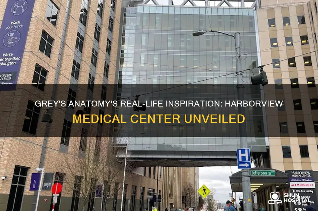 what hospital is the inspiration for grey