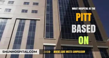 Pitt's Hospital: Exploring the Real-Life Inspiration