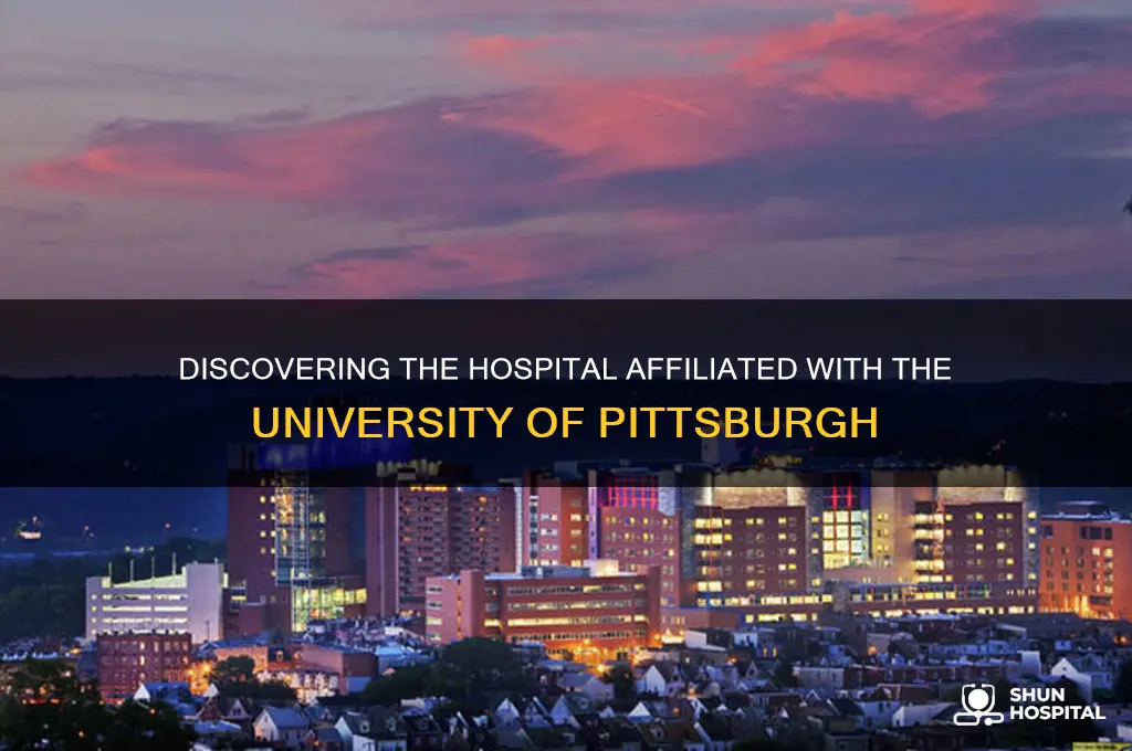 what hospital is the pitt