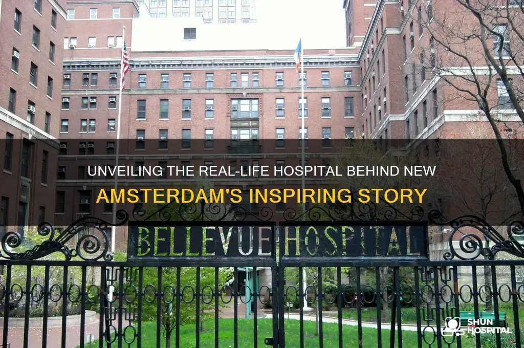 what hospital is the show new amsterdam based on